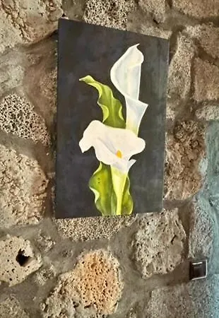 Ferienhaus Casa De Sant'ana *