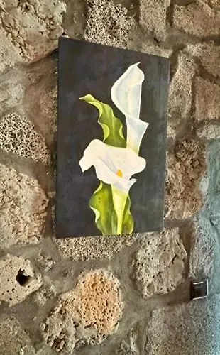 Holiday home Casa De Sant'ana *